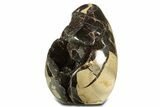 Polished Dragon Egg Septarian Geode - Free-Standing #344449-2